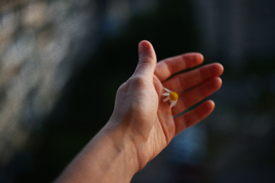 广告已拉不动飞科电器？